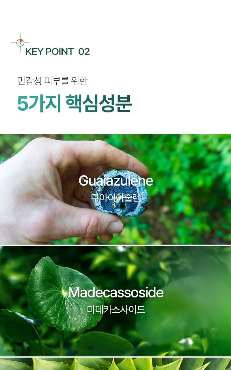 [대용량, 피지/모공케어] 피캄 언더포어 바테카 폼 클렌징 250ml 상세페이지 25